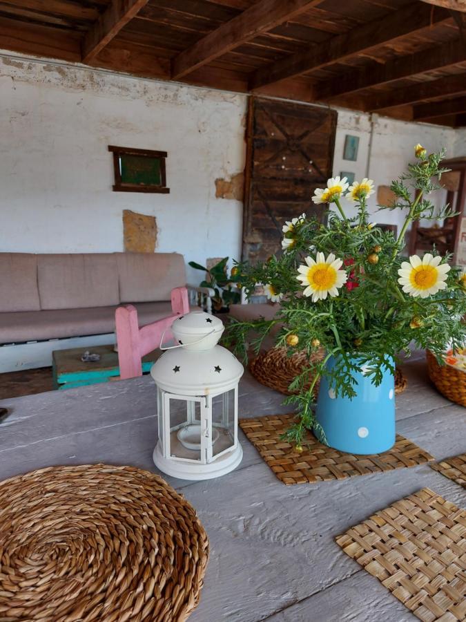 Casa Elsa Daire Puerto del Rosario  Dış mekan fotoğraf